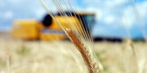 Tarım-GFE yıllık yüzde 30,12 arttı