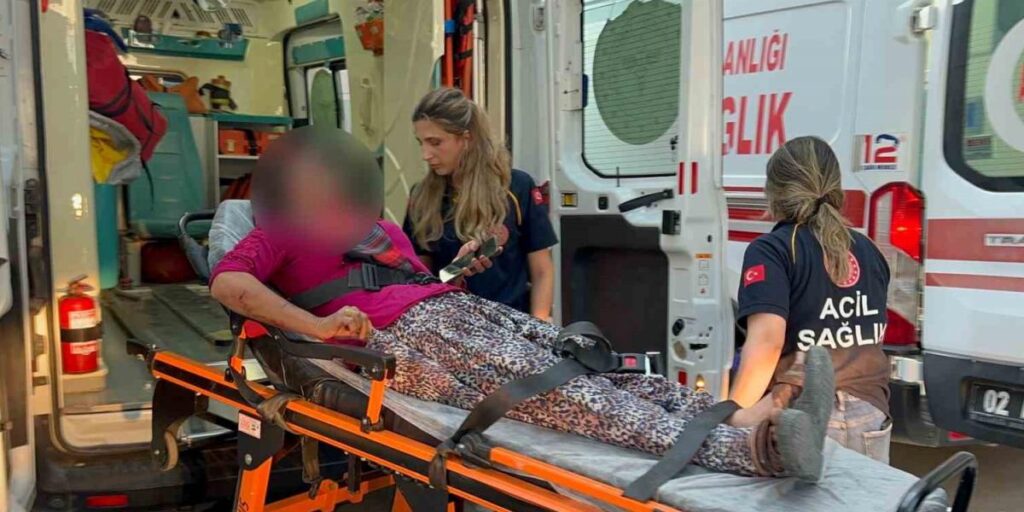 Taşlı saldırıya uğrayan kadın yaralandı