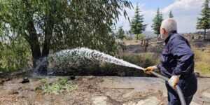 Tatvan’da çıkan yangında 50 dönümlük alan küle döndü