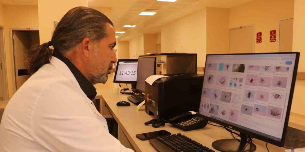 Uzmanından kene uyarısı; Kapalı giysileri tercih edin!