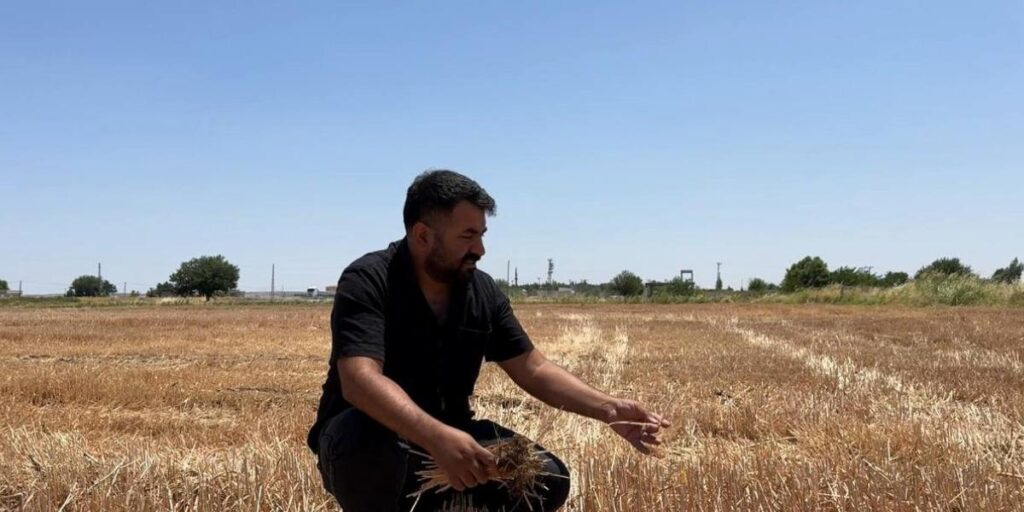 Uzmanlar ve çiftçiler anız yakmanın zararlarına dikkat çekti