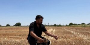 Uzmanlar ve çiftçiler anız yakmanın zararlarına dikkat çekti