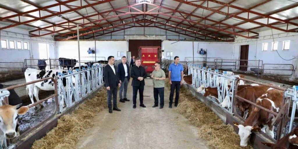 Vali Aydoğdu Düve Üretim Merkezi’nde incelemelerde bulundu