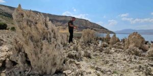 Van Gölü sahilleri mikrobiyalit tarlasına döndü