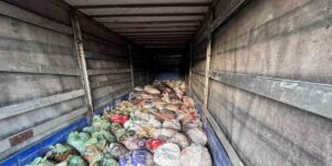 Van’da 22 ton 475 kilogram kaçak avlanmış balık ele geçirildi