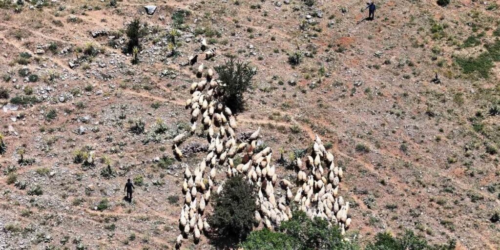 Yaylada zorlu şartlara rağmen üretmeye devam ediyorlar