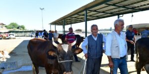 Yeşilyurt Belediyesi 41 noktada kurban satış ve kesim yeri belirledi