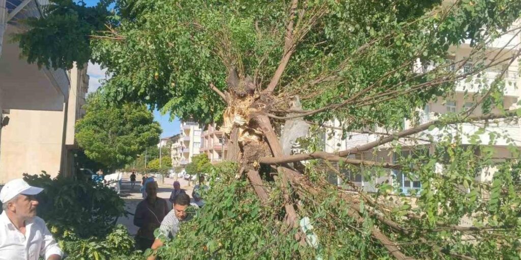 Adıyaman Gölbaşı’nda fırtına etkili oldu