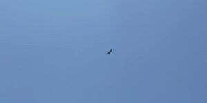 Adıyaman’da F16 savaş uçağı nefes kesti