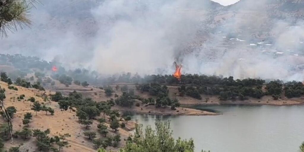 Adıyaman’da ormanlık alanda yangın
