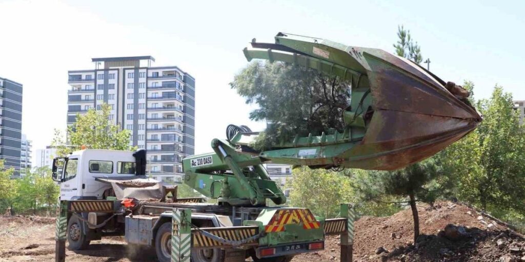 Ağaçlar zarar verilmeden ormanlık alana taşındı