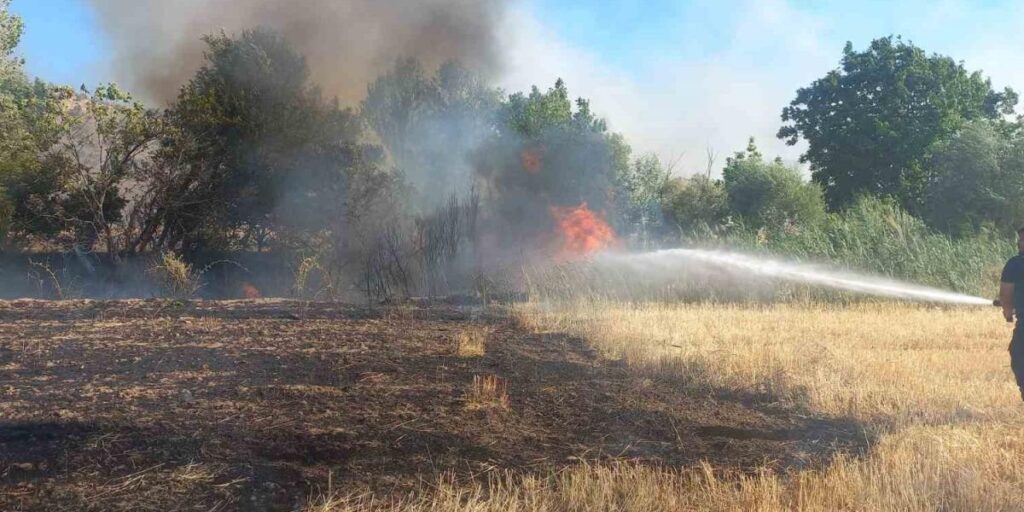 Balya makinesinden çıkan kıvılcım 200 dönümü yaktı