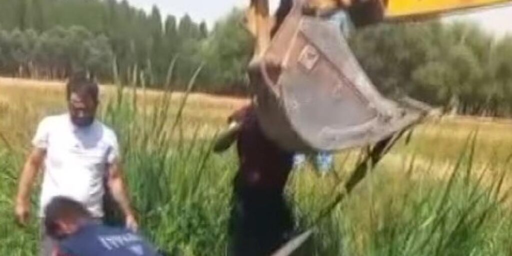 Bataklığa saplanan iki büyükbaş hayvanı itfaiye kurtardı