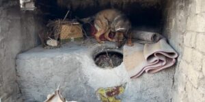 Batman’da ekmek tandırında uyuşturucu ele geçirildi