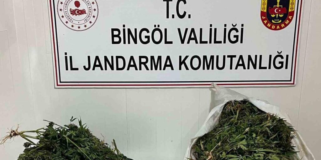 Bingöl’de bagajda ele geçirilen yaklaşık 18 kilogram uyuşturucuya 4 tutuklama