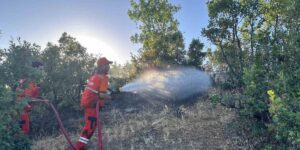 Bingöl’de orman yangını kontrol altına alındı