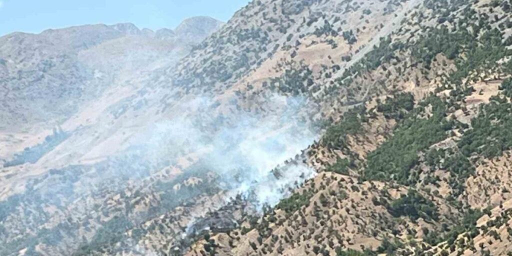 Bingöl’deki orman ve arazi yangınları söndürüldü