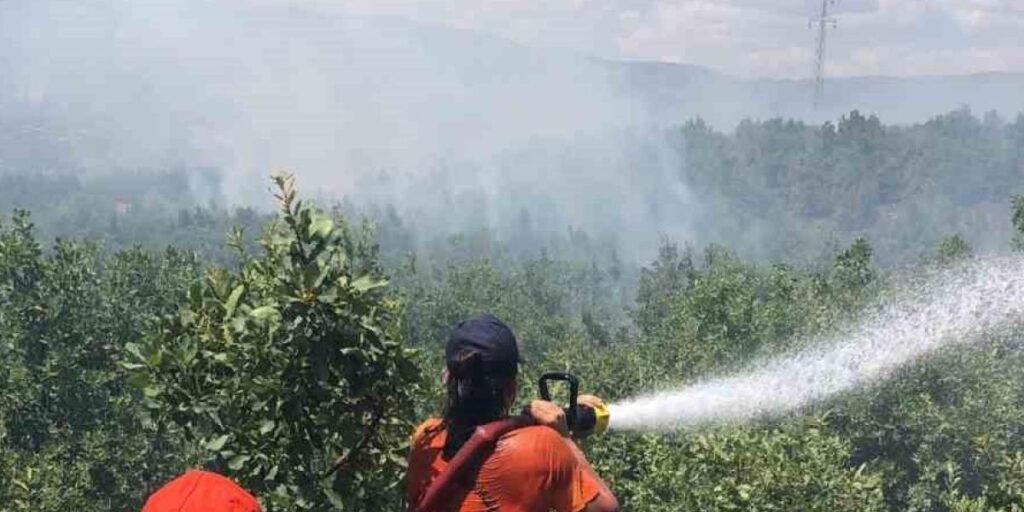 Bingöl’deki orman yangını kontrol altına alındı