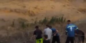 Çamura saplanan atı köylüler kurtardı