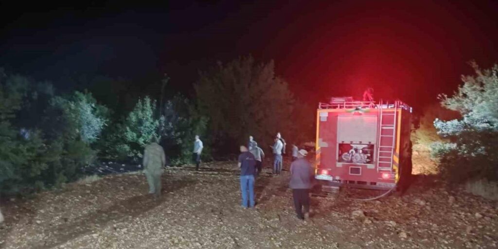 Çöp yangını ormana sıçradı