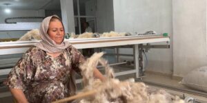 Çöpten topladığı yünlerle iş kurdu