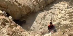 Dağda mahsur kalan koyunlar ekipler tarafından kurtarıldı