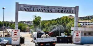 Diyarbakır’da kapatılan Canlı Hayvan Borsası ilaçlanıp dezenfekte edildi
