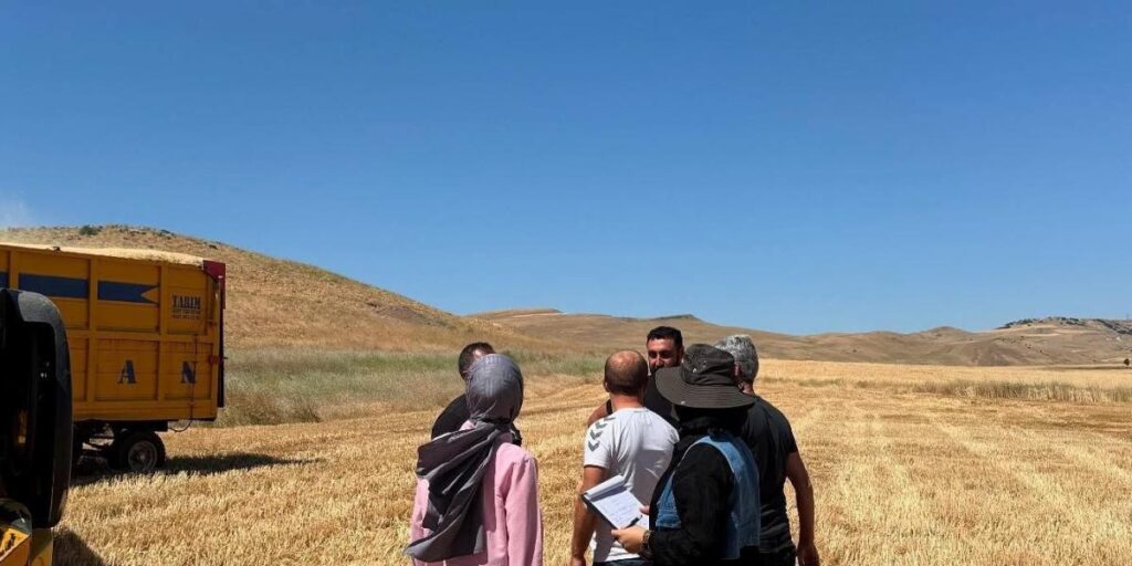 Elazığ’da hasat ve biçerdöver denetimleri sürüyor