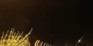 Elazığ’da kırmızı listede bulunan porsuk görüldü