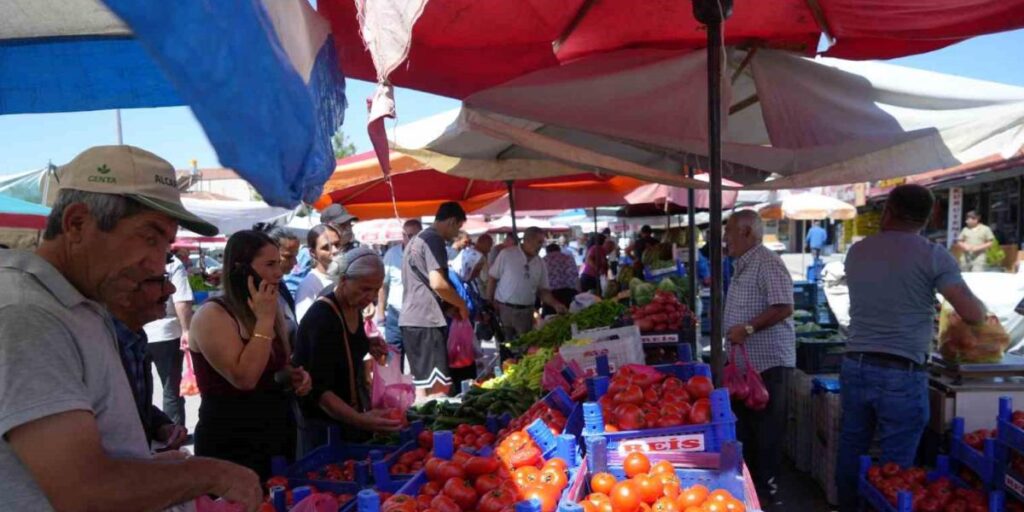Erzincan domatesi çevre illerde sofraları süslüyor