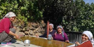 Erzincan’da kazanlar pestil için kaynıyor