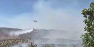 Gabar Dağı’nda orman yangını