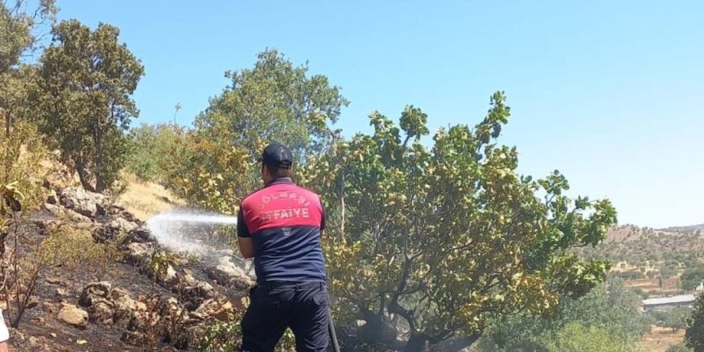 Gölbaşı’nda ormanlık alan yandı