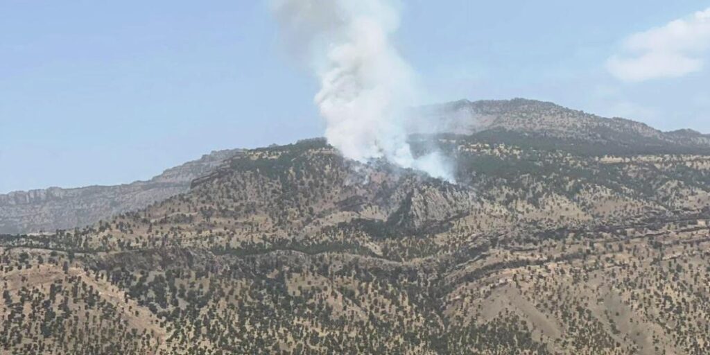 Hakkari’de orman yangını