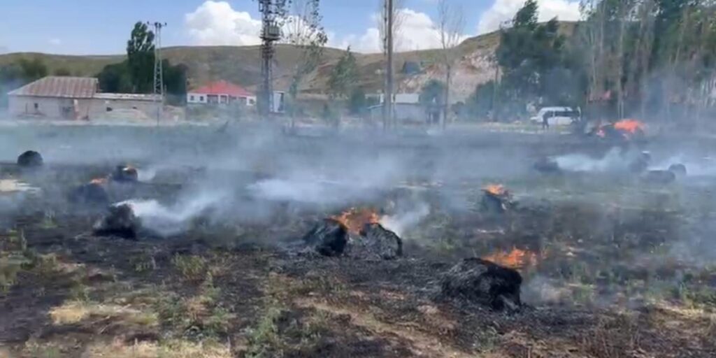 Hakkari’de yaklaşık bin 500 bağ ot kül oldu
