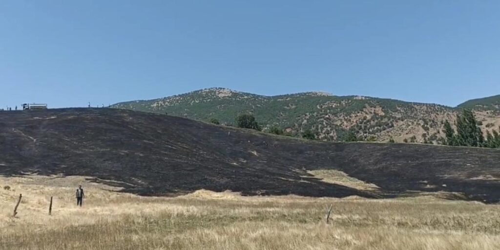 Hizan’da anız yangını, 40 dönüm arazi zarar gördü