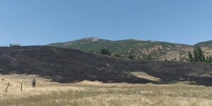 Hizan’da anız yangını, 40 dönüm arazi zarar gördü