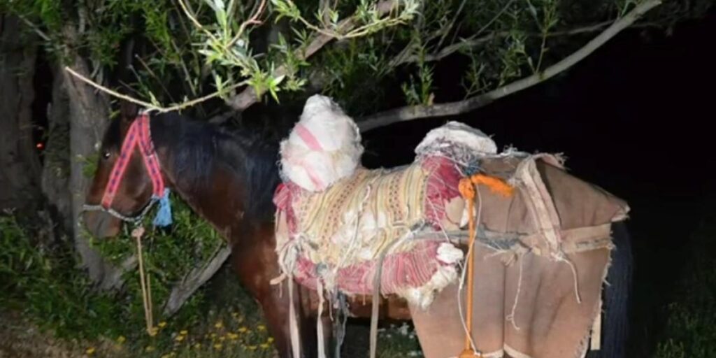 İran’dan katırla yurda sokulan 97 kilogram uyuşturucuya 1 gözaltı