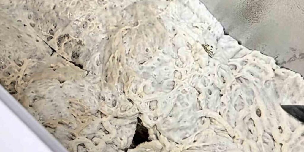 İşkembe görünümlü zula ekipleri şaşırttı