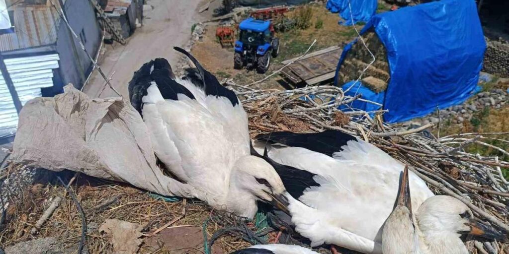 İtfaiyeden leyleğe uzanan şefkat eli