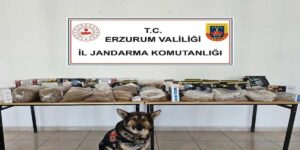 Jandarmadan kaçakçılara operasyon