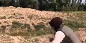 Kızıl şahin tekrar doğaya kavuştu