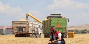 Kuraklık Vanlı çiftçileri vurdu