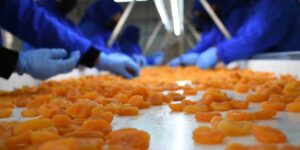 Kuru kayısı dış ticaretinde düşüş sürüyor