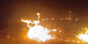 Malatya’da bahçe yangını