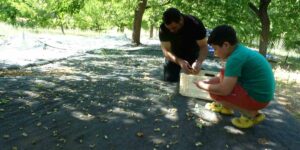 Malatya’da zirai donun vurduğu bölgelerde meyve üretiminde baraj çevresi umut oldu