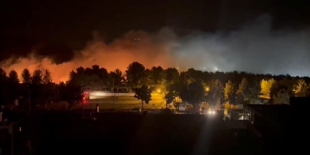 Mardin’de orman yangını