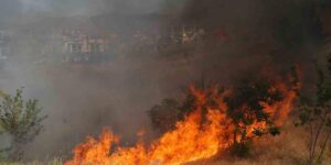 Muş’ta örtü yangını kontrol altına alındı