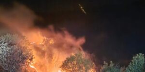 Ormanlık alan ve bahçeler cayır cayır yandı