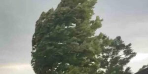 Palu’da fırtına etkili oldu